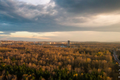 Jaworzno - Niedzieliska