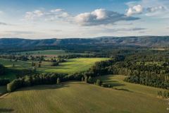 DJI_0481