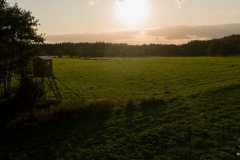 DJI_0497