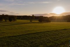 DJI_0509