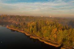 Staw Morawa