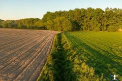 DJI_0555-HDR
